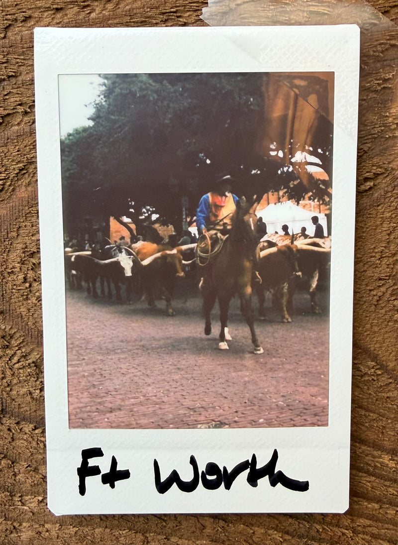 Fort Worth Cattle Drive